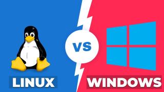 Windows vs Linux pentru productivitate intensă
